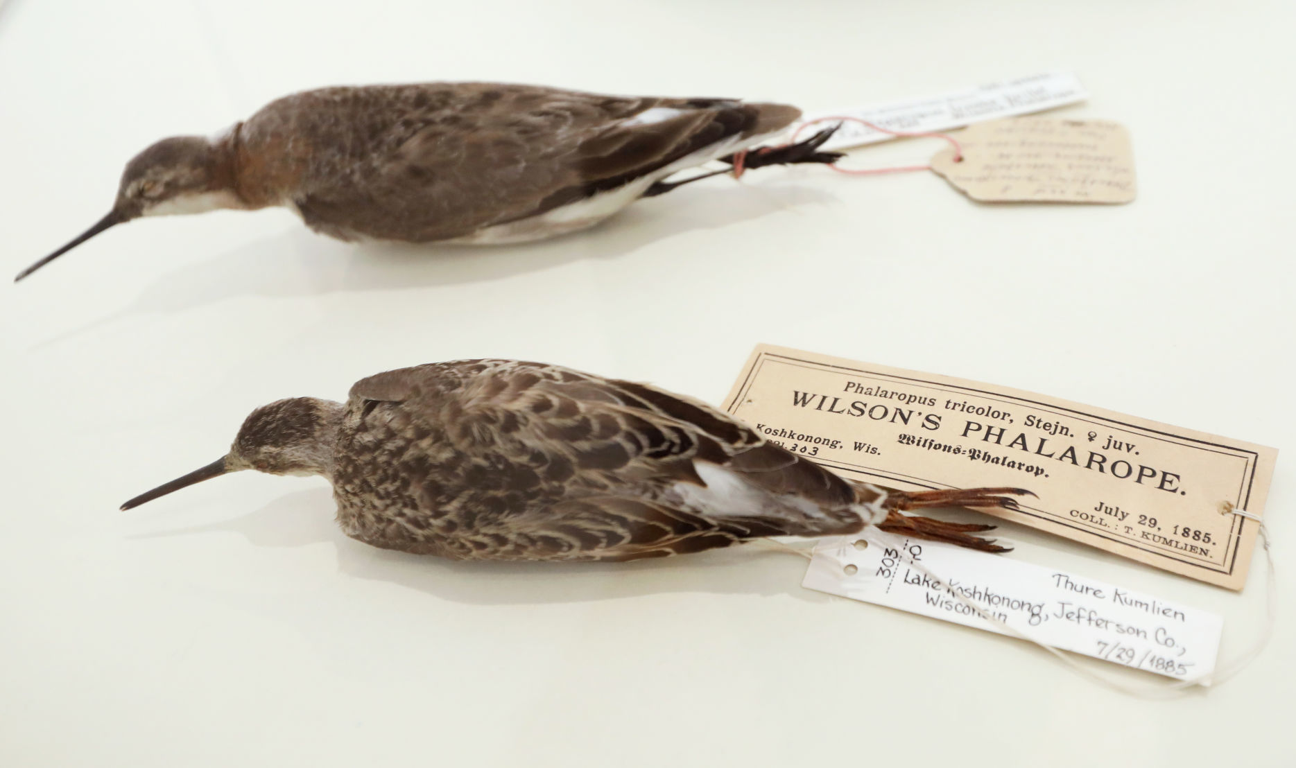 150 years of the Wisconsin Academy of Sciences, Arts & Letters